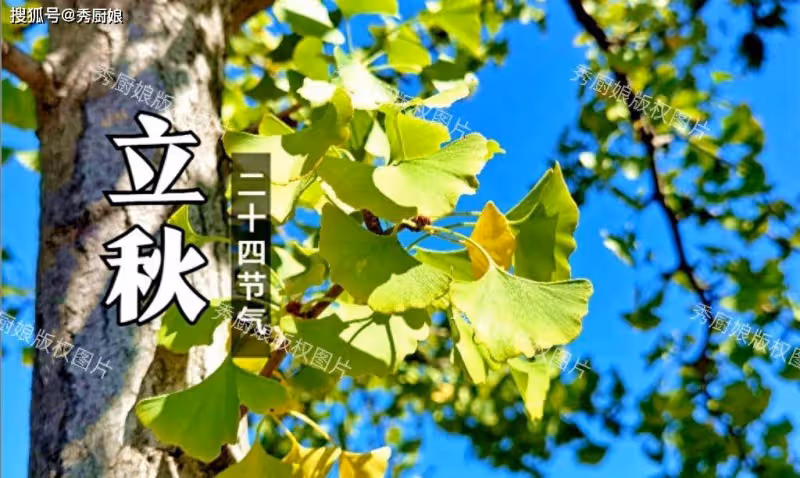 8月7日立秋不一般,建議大家「咬秋」,多吃「3寶」,全家都受益