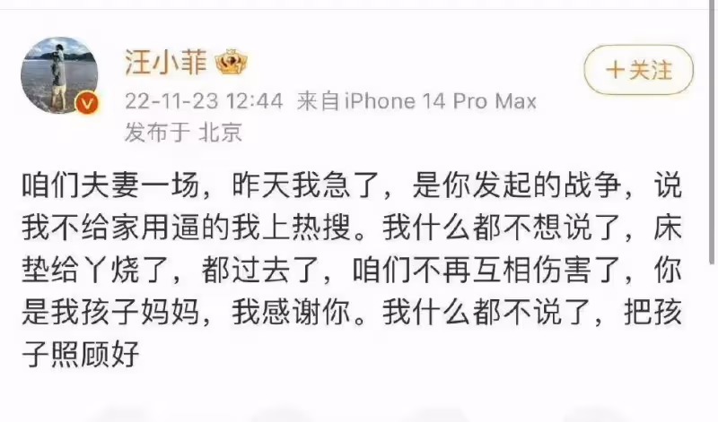大S戲精附體,網傳大S要帶孩子自殺?!