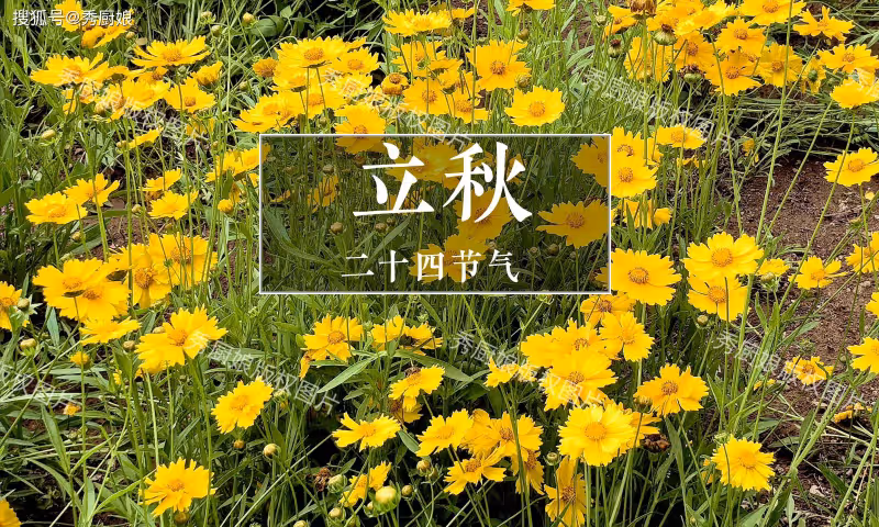 8月7日立秋!建議「少吃2瓜,多吃3白」,順應節氣而食,健康度秋