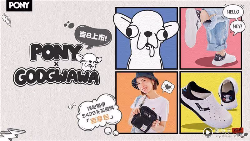 吉粉必敗！PONY跨界聯名變種吉娃娃　「吉拿包」限時加價開搶
