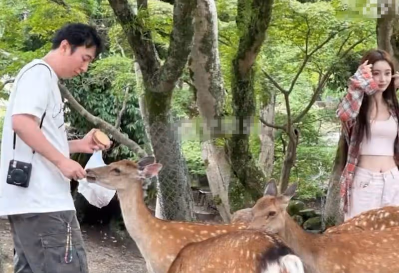王思聰女友懶懶直播秀恩愛,甜蜜暴擊:談戀愛挺好的,很開心!