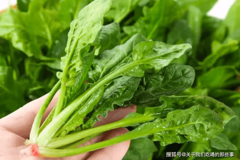 涼拌菠菜好吃有竅門,教您正確的做法,開胃解膩,下飯又下酒