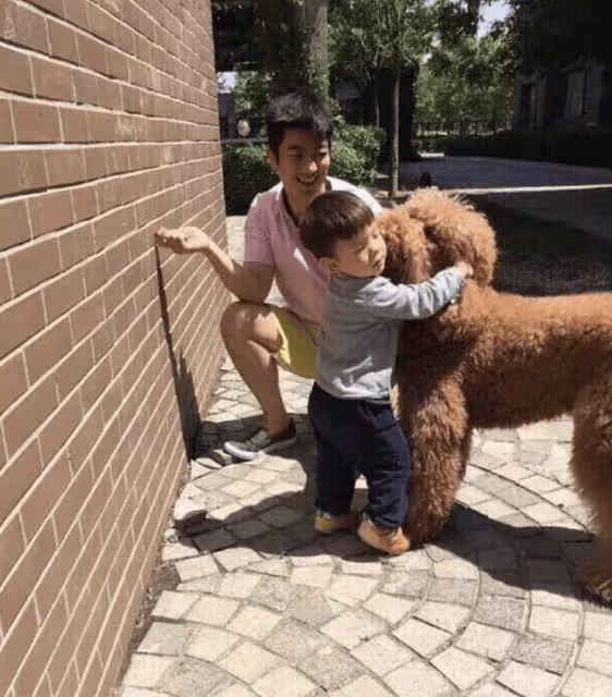 心痛!霍思燕曬9條寵物狗,透露駱駝和Jack已去世,網友紛紛淚目