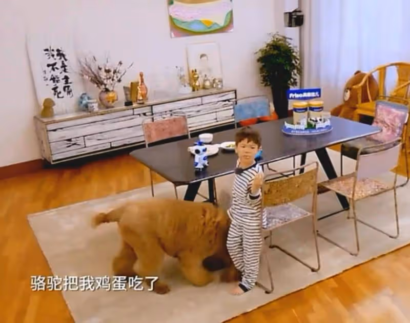 心痛!霍思燕曬9條寵物狗,透露駱駝和Jack已去世,網友紛紛淚目