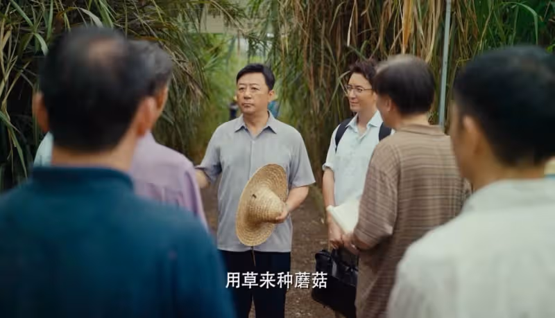 一口氣看4集,越看越上癮,央視這部劇當代跨國勵志情感劇好真實