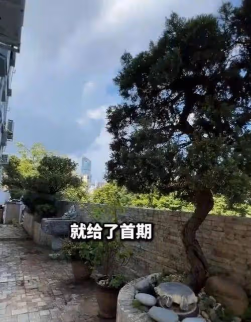 娛樂圈老戲骨驚人豪宅內幕：30年陳百祥居然靠演戲賺下豪宅首付!