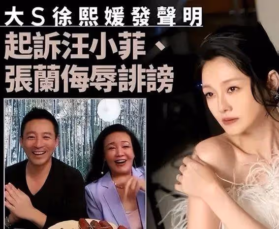 離婚後大賺橫財卻陷愛情泥沼,孩子成籌碼大S欲放棄撫養權續寫韓國新歡?