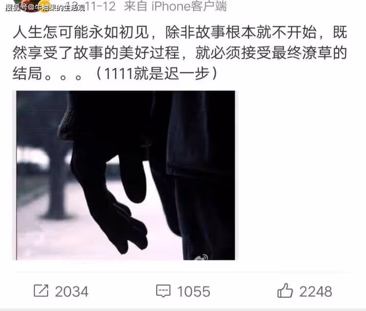 王麗坤被偽富豪騙婚,涉案金額13.9億,光泡女明星就花了幾百萬