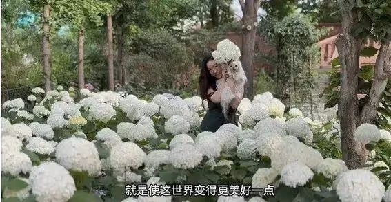 43歲霍思燕曬花園生活照曝光!黑裙豐腴大解放,家裡養孔雀豪宅世外桃源