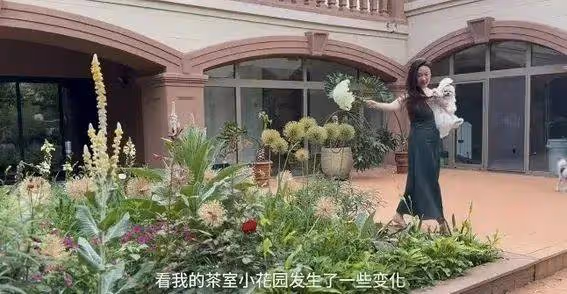 43歲霍思燕曬花園生活照曝光!黑裙豐腴大解放,家裡養孔雀豪宅世外桃源