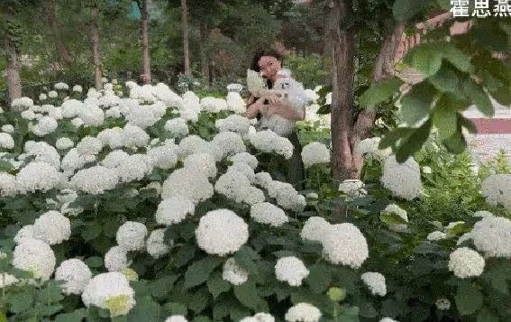 43歲霍思燕曬花園生活照曝光!黑裙豐腴大解放,家裡養孔雀豪宅世外桃源