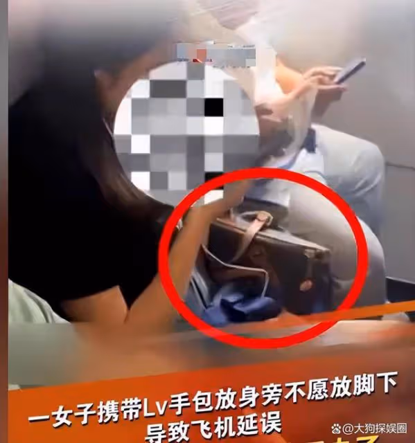女子 LV 包竟致大批航班延誤!涉事人已被帶走,官方回應引關注