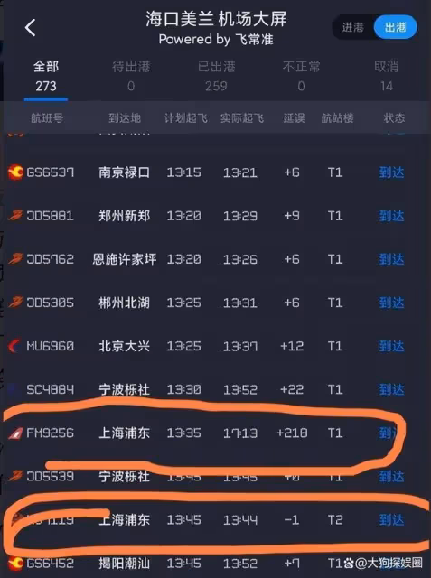 女子 LV 包竟致大批航班延誤!涉事人已被帶走,官方回應引關注