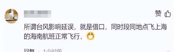 女子 LV 包竟致大批航班延誤!涉事人已被帶走,官方回應引關注