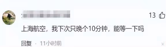 女子 LV 包竟致大批航班延誤!涉事人已被帶走,官方回應引關注