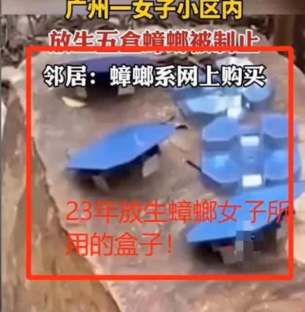 一女子在小區內投放蟑螂,憑一己之力送河北上熱搜,警方直接介入,評論區炸鍋
