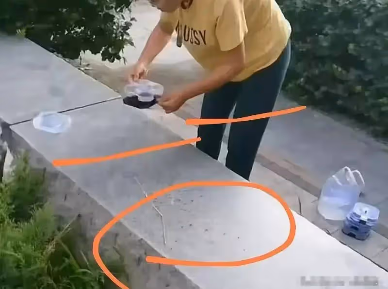 一女子在小區內投放蟑螂,憑一己之力送河北上熱搜,警方直接介入,評論區炸鍋