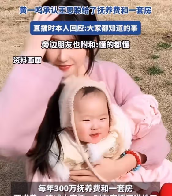 黃一鳴回應撫養費房子!原來都是真的,房子價值5000萬太壕了