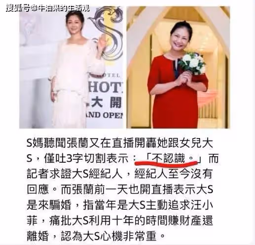 張蘭怒斥大S騙婚捲走1億,S媽反擊不認識張蘭,昔日親家淪為仇人