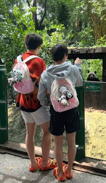 全紅嬋陳藝文現身長隆動物園遊玩,穿一樣的拖鞋,背包掛滿熊貓
