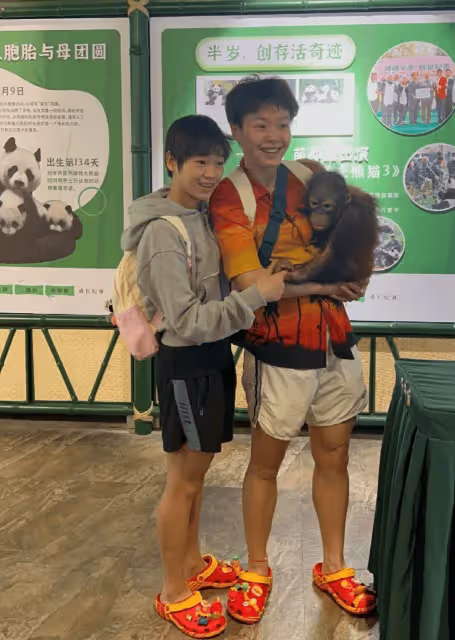 全紅嬋陳藝文現身長隆動物園遊玩,穿一樣的拖鞋,背包掛滿熊貓