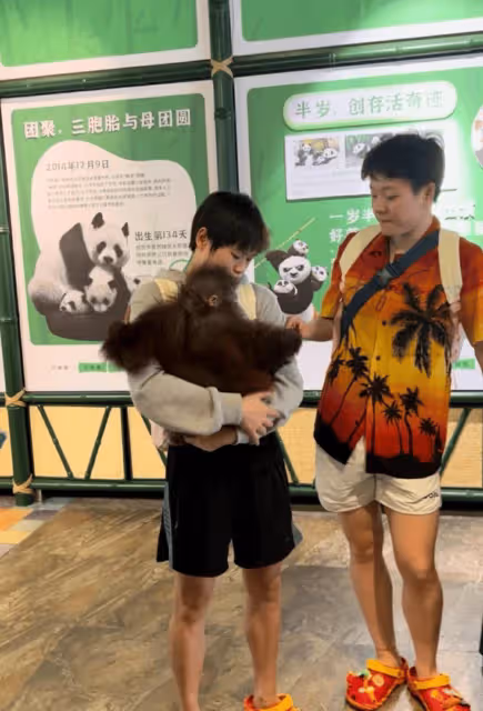 全紅嬋陳藝文現身長隆動物園遊玩,穿一樣的拖鞋,背包掛滿熊貓
