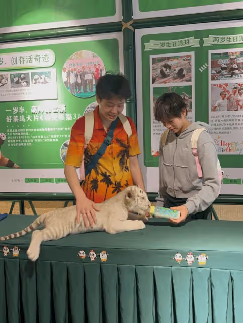 全紅嬋陳藝文現身長隆動物園遊玩,穿一樣的拖鞋,背包掛滿熊貓