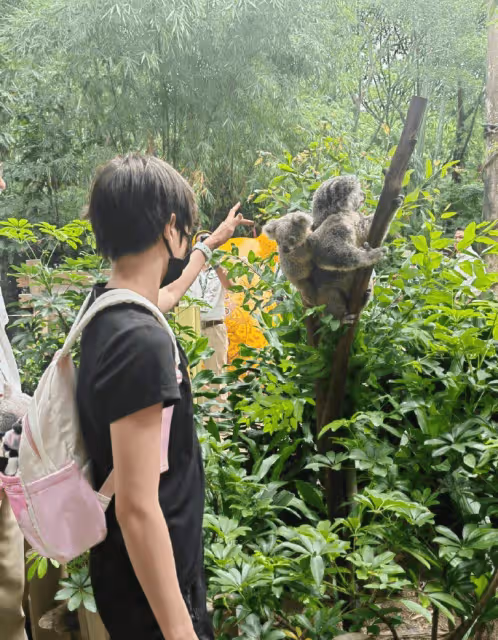 巴黎歸來放鬆心情,全紅嬋陳藝文長隆動物園遊記:與萌寵共舞,樂在其中