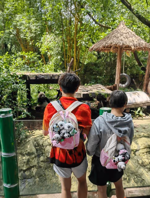 巴黎歸來放鬆心情,全紅嬋陳藝文長隆動物園遊記:與萌寵共舞,樂在其中