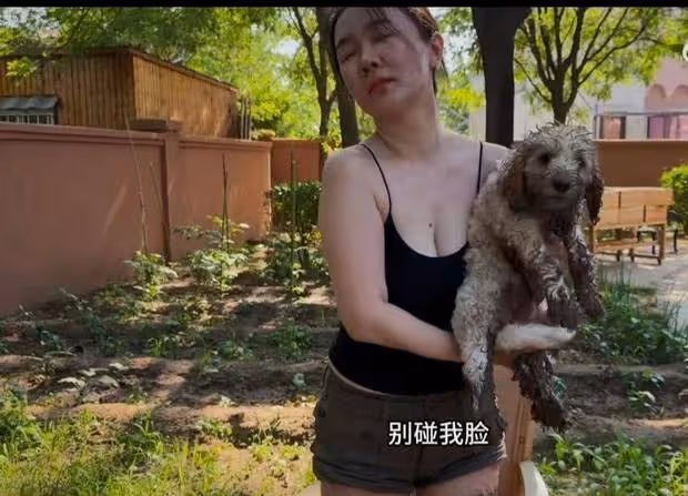 霍思燕的居家Vlog火了:鋤地種花養孔雀,陪小狗玩樂,網友直呼「夢中生活」!