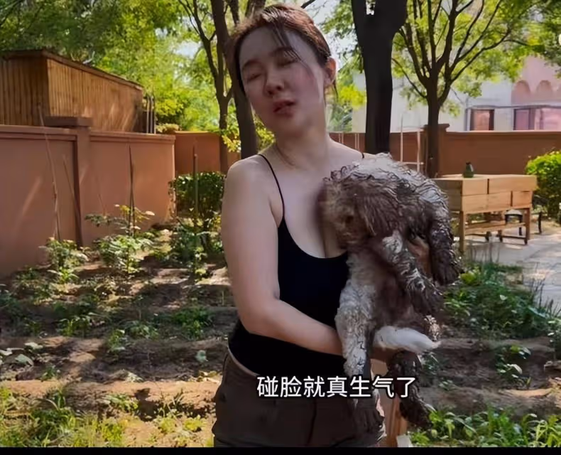 霍思燕的居家Vlog火了:鋤地種花養孔雀,陪小狗玩樂,網友直呼「夢中生活」!