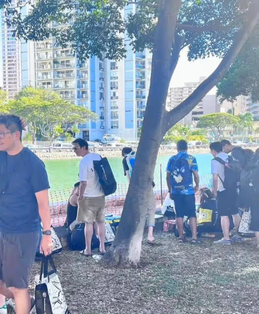 王思聰已轉戰夏威夷，疑似因安全問題離開日本，發文闢謠認女傳聞