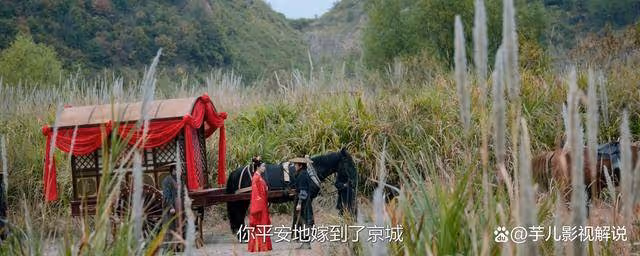 《柳舟記》看了原著才知道,柳眠棠大婚之日被劫走不過是自導自演