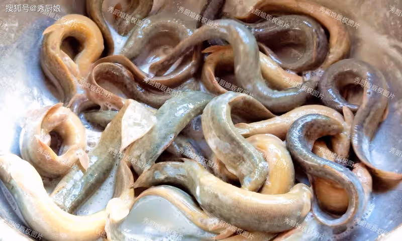 8月,遇見這魚別手軟,一補虛損,二強筋骨,三增免疫,別不懂吃