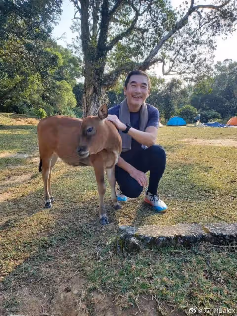 隨時回TVB拍劇!港圈知名男神自曝不退休,揚言16歲女兒愛好太費錢