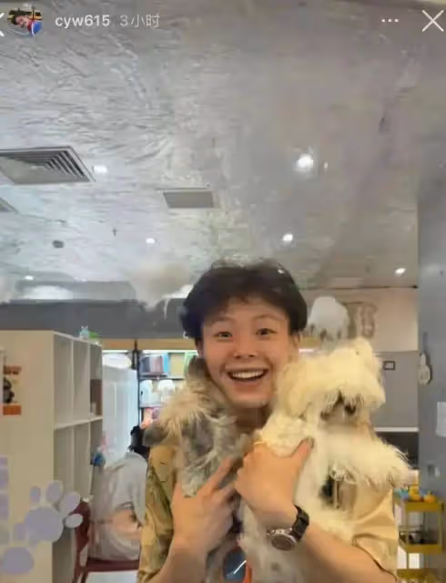 笑死了！全紅嬋不敢回家，穿一雙鞋3330元運動鞋，打扮時尚去擼貓