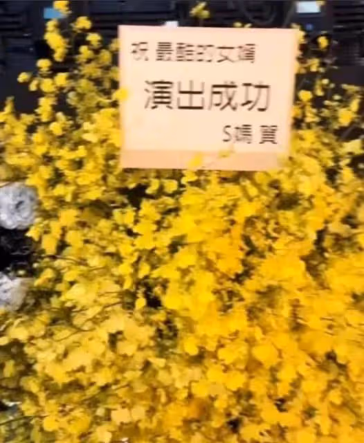 大S淪為暴雨梨花慘況曝光!狂懟渣男前夫遭報復,痛宰情敵她也是高手