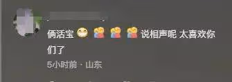 65歲倪萍突發意外!上樓時候把腿給摔骨折了