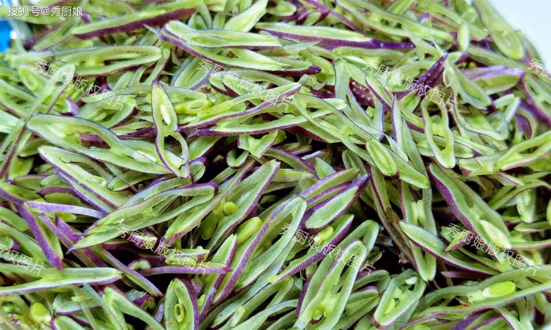 8月使勁吃這菜,一健脾,二祛濕,三護眼,四通便,鮮嫩營養高!
