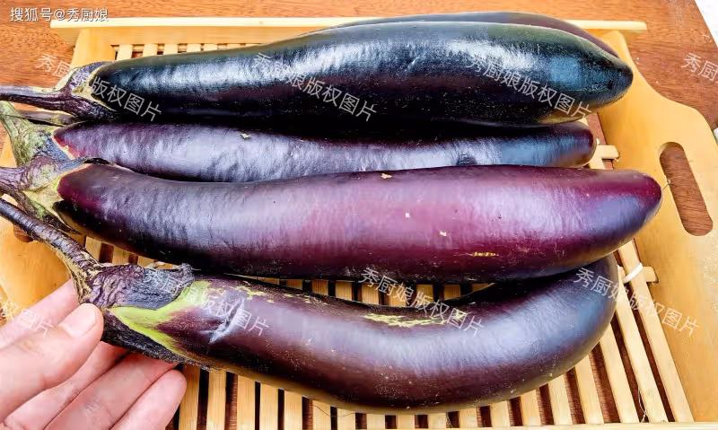 立秋後,黃瓜苦瓜靠邊站,這菜抓緊吃!鮮嫩營養高,蒸包子吃真香
