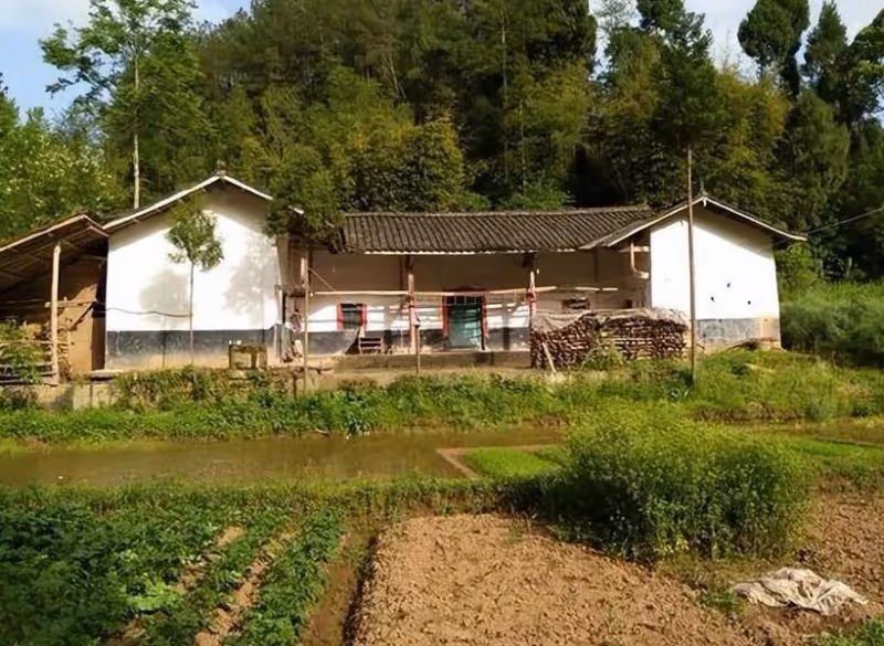 04年，福建美女被執行注射死刑，在上執行車前，她向獄警深深鞠躬