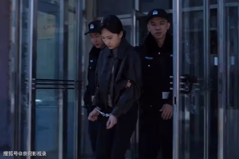 才播1天就票房第一,釋小龍一出手,終於讓網友有狂刷的刑偵大片了
