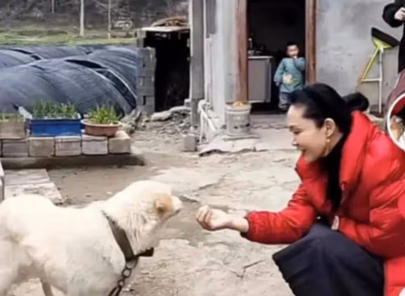 57歲於文華現狀不慘,住農村簡陋房裙子拖地喂土狗,曾遭前夫背叛