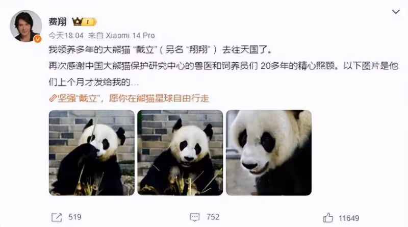 費翔深情回應大熊貓戴立離世:感恩20載精心呵護,網友淚目