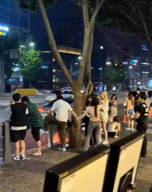王思聰現身韓國明洞,多個美女陪伴太羨慕,謠言止於智者!