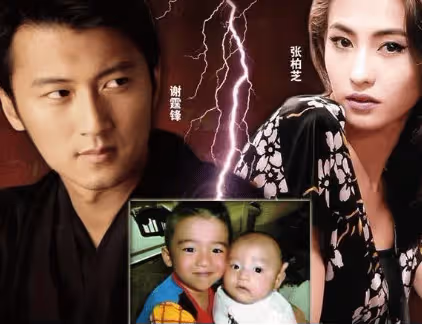 向張柏芝下跪求婚,是謝霆鋒最大賭注,曾默默給孩子準備財產!