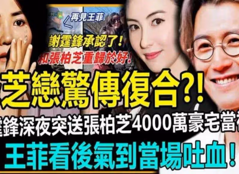 謝霆鋒張柏芝離婚的真相,認為是張柏芝不檢點,但實際卻並非如此