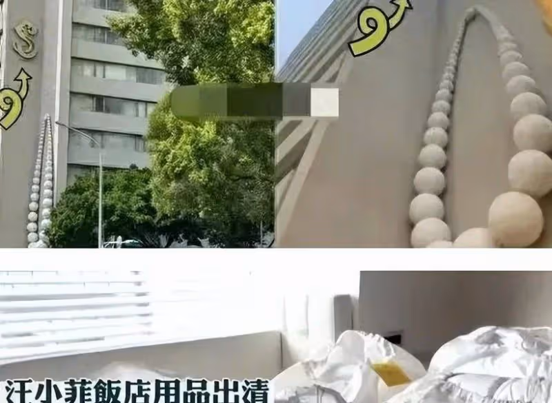 直播背後有深意?汪小菲讓張蘭帶小箖箖上陣,律師話中有話!