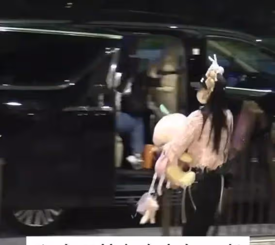 震驚!Baby帶娃游迪士尼暴露3個驚人細節,網友:這才是真正的星媽!