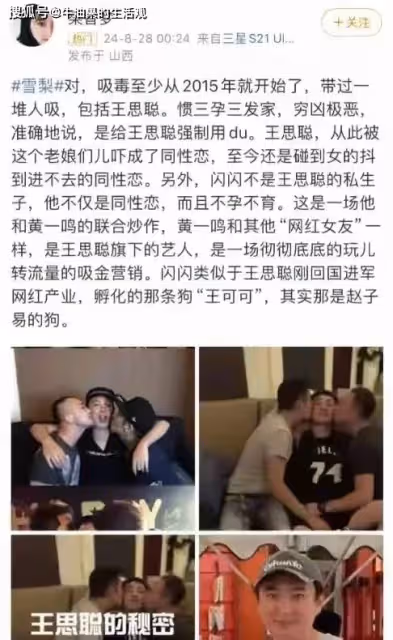 王思聰深陷同性戀醜聞,黃一鳴力挺孩子爸爸,承認別墅是租的
